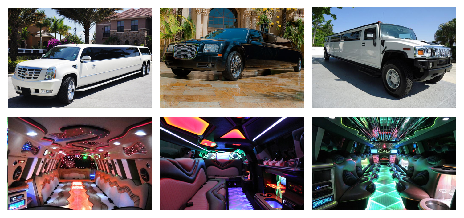 Wedding Limo Service & Party Bus Rentals